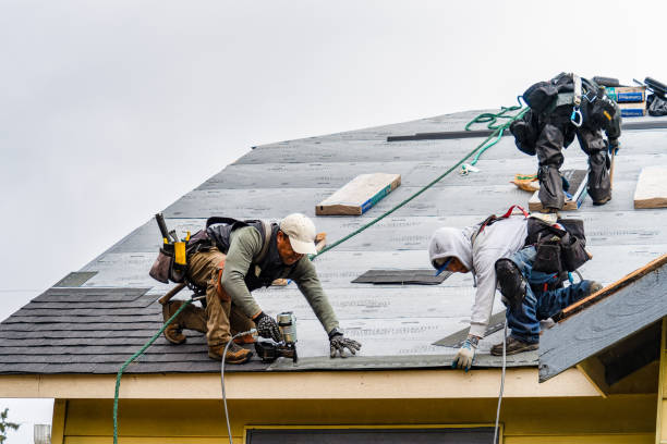 Professional Storm Damage Roof Repair technician working in Tetonia, ID